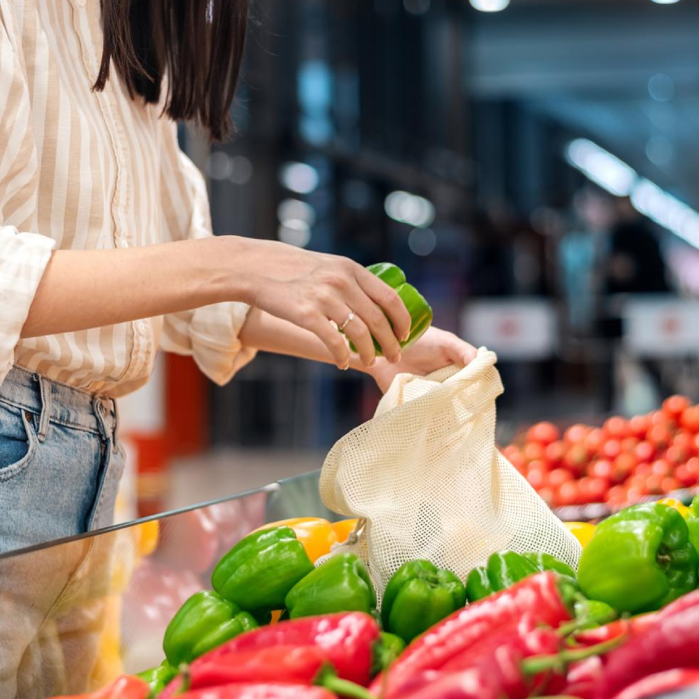 Alimentación balanceada y económica