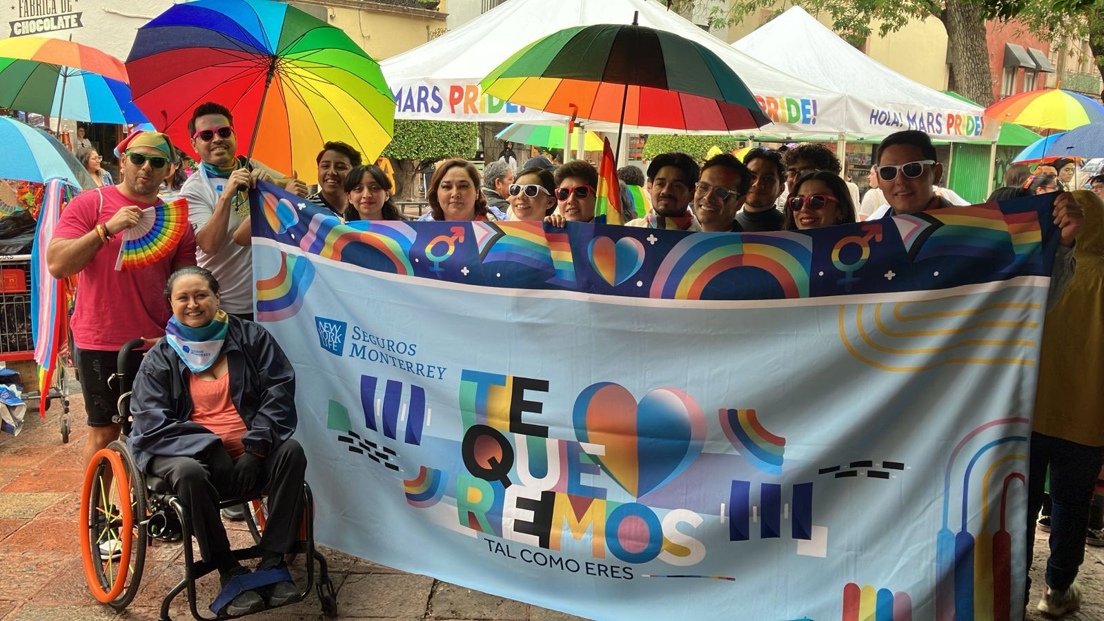 Descripción de la Imagen 2