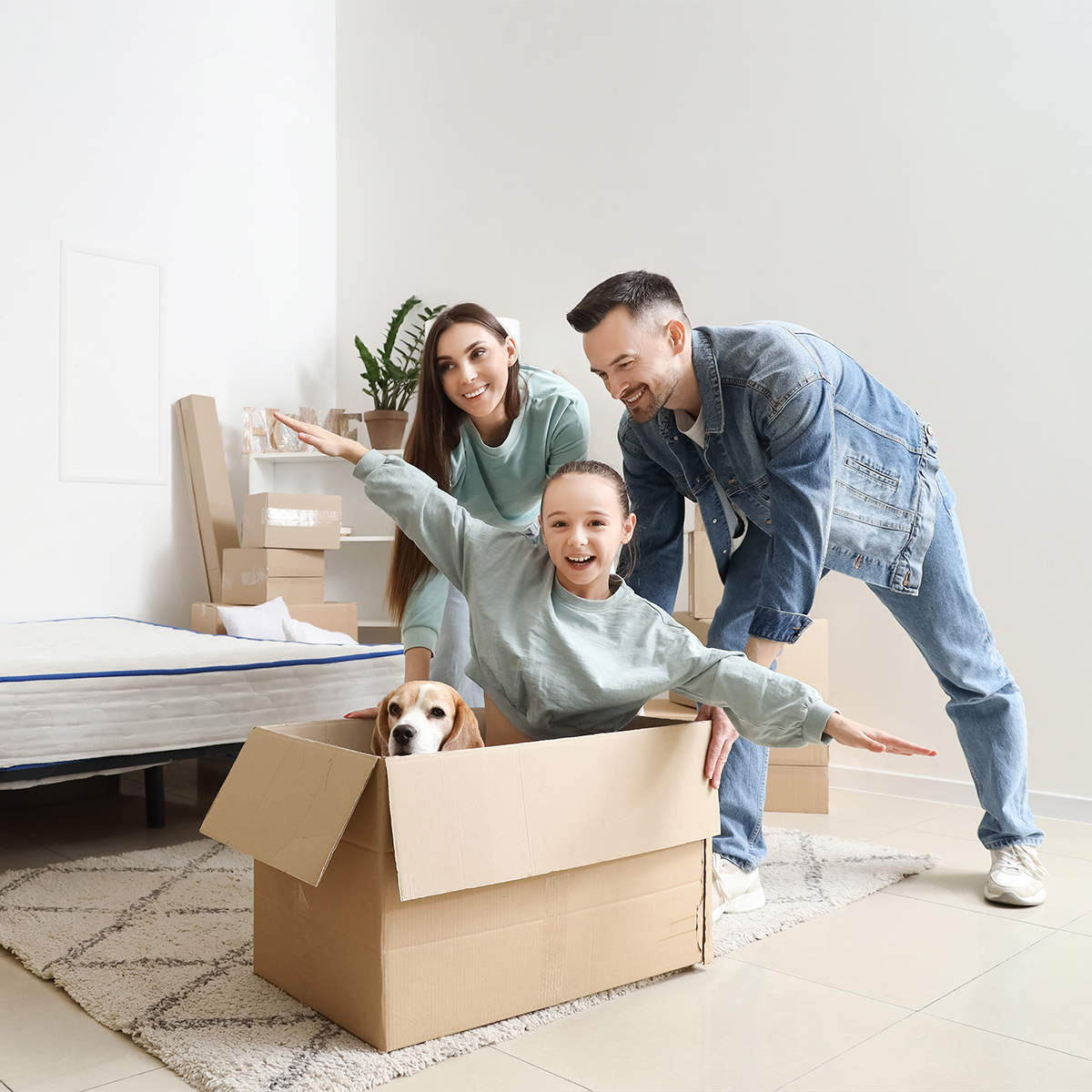 Imagen del seguro M&iacute;o