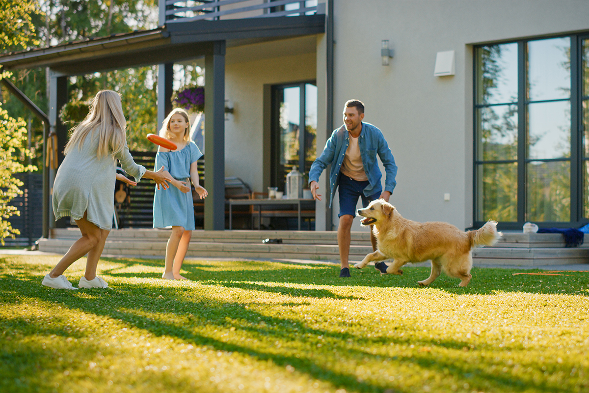 Me interesa saber m&aacute;s de Imagina Ser