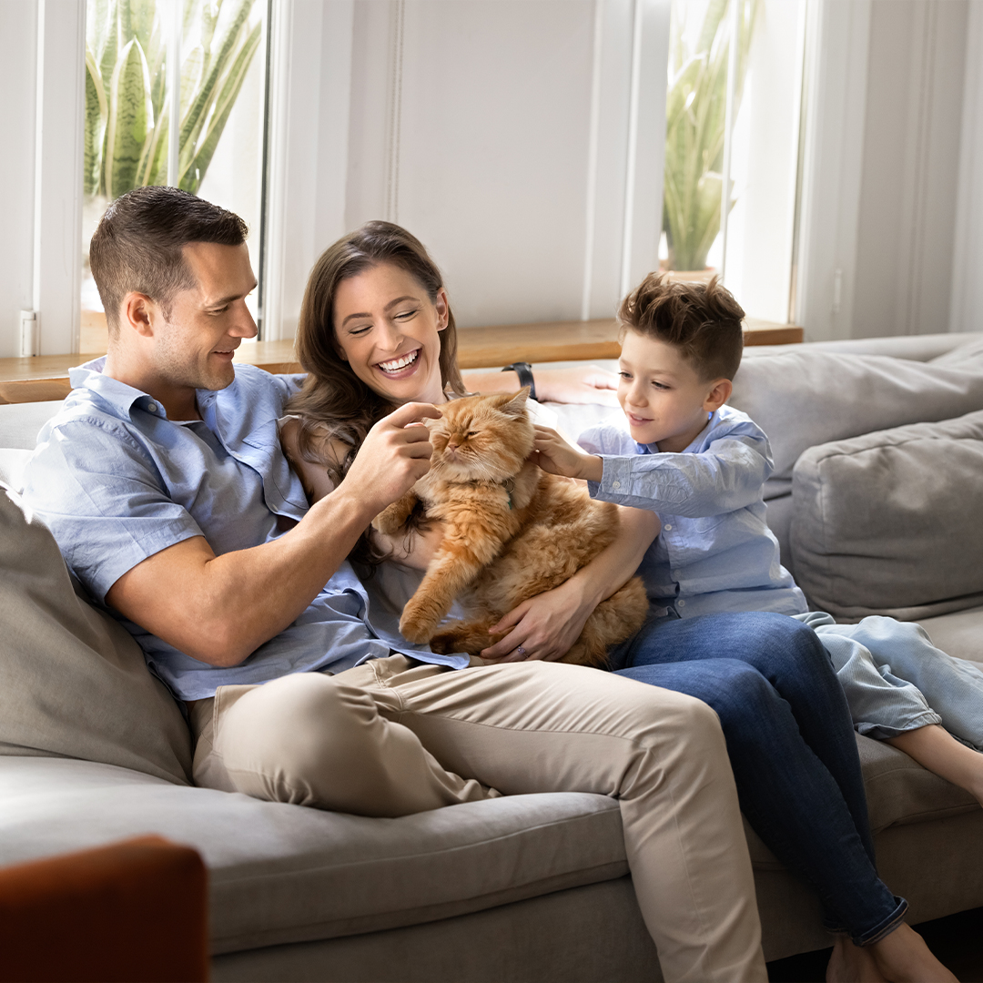 Protege a tus seres queridos